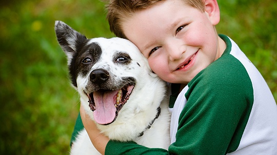 Obrázok Naučte dieťa, čo robiť, keď ho napadne pes. Pomôže, keď sa mu chlácholivo prihovorí?