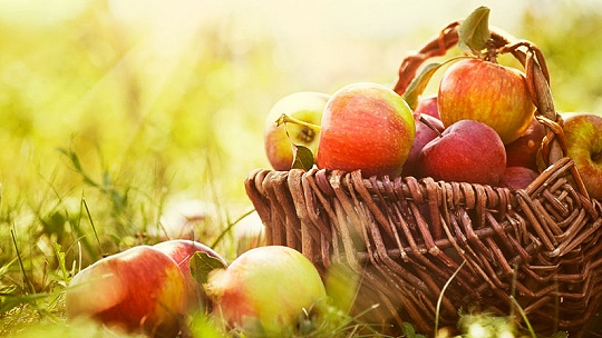 Obrázok Pečené jablká so škoricou a medom. Azda najjednoduchší dezert na svete navnadí na prichádzajúci advent